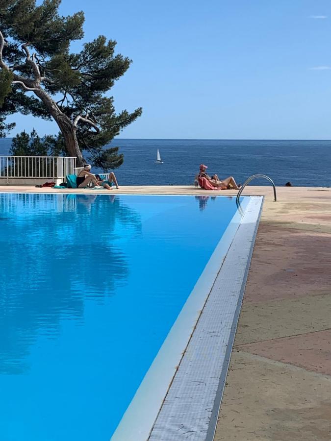 Horizon Bleu Bandol : Appartement Pieds Dans L'Eau Dış mekan fotoğraf